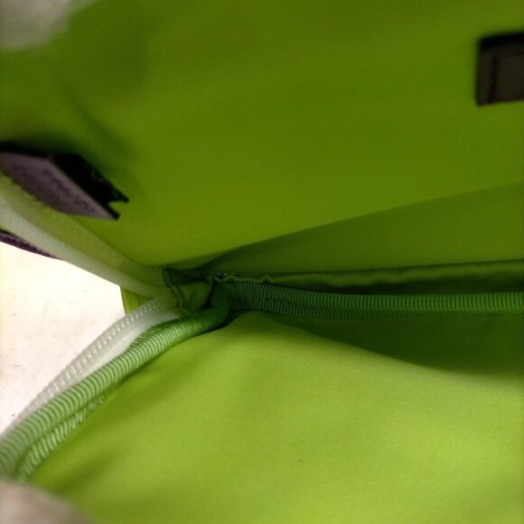 Authentic Gucci Waist Pouch Green Nylon mon559-111025 - Picture 12 of 16